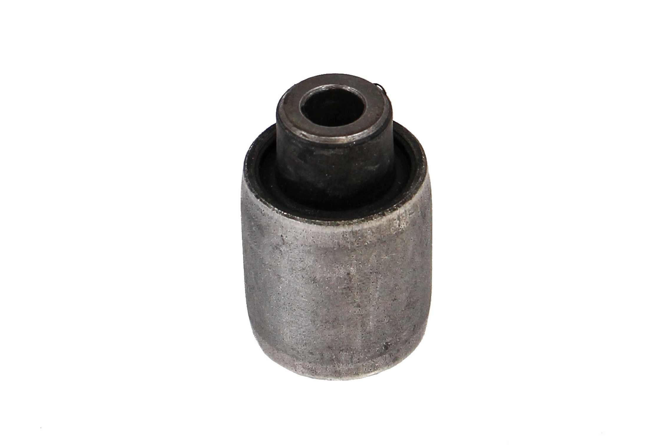 Rein Suspension Control Arm Bushing AVB0669