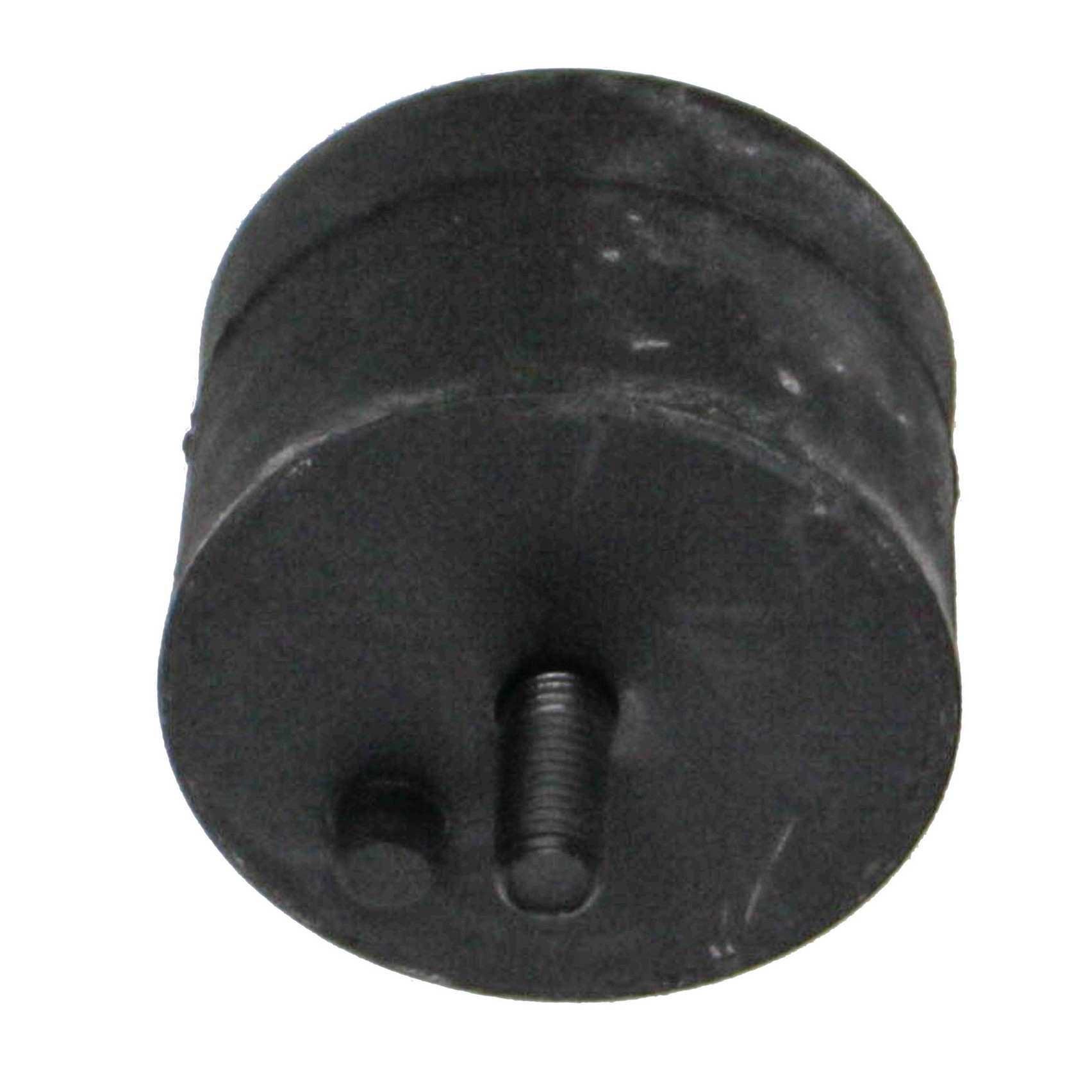 Rein Engine Mount AVE0032R