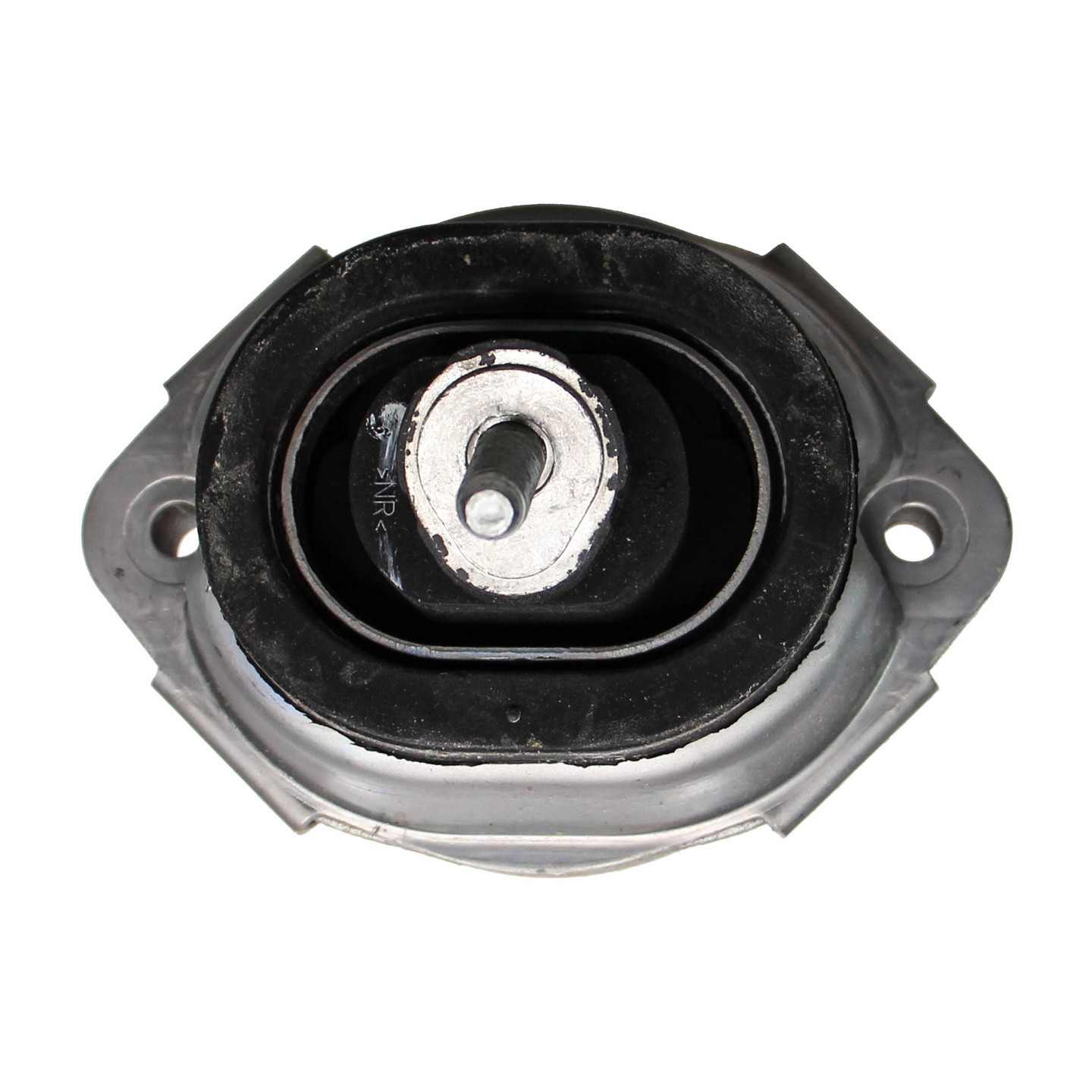 Rein Engine Mount
