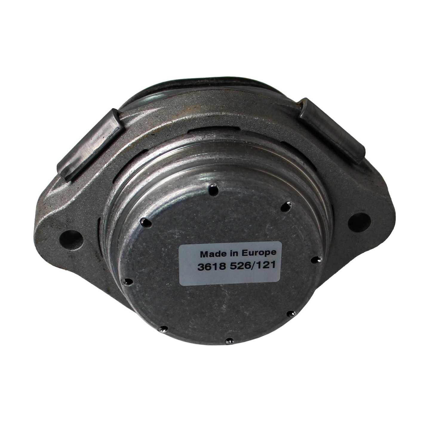 Rein Engine Mount
