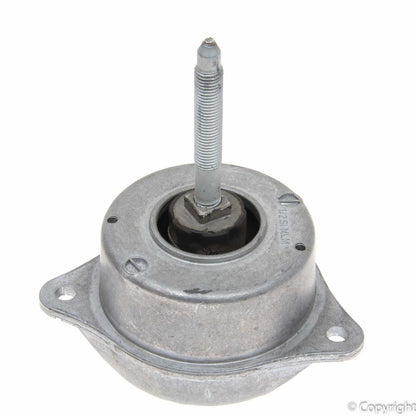 Rein Engine Mount