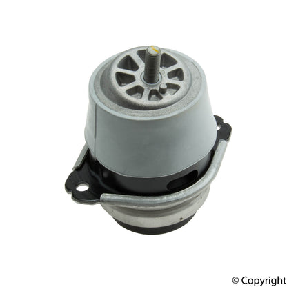 Rein Engine Mount