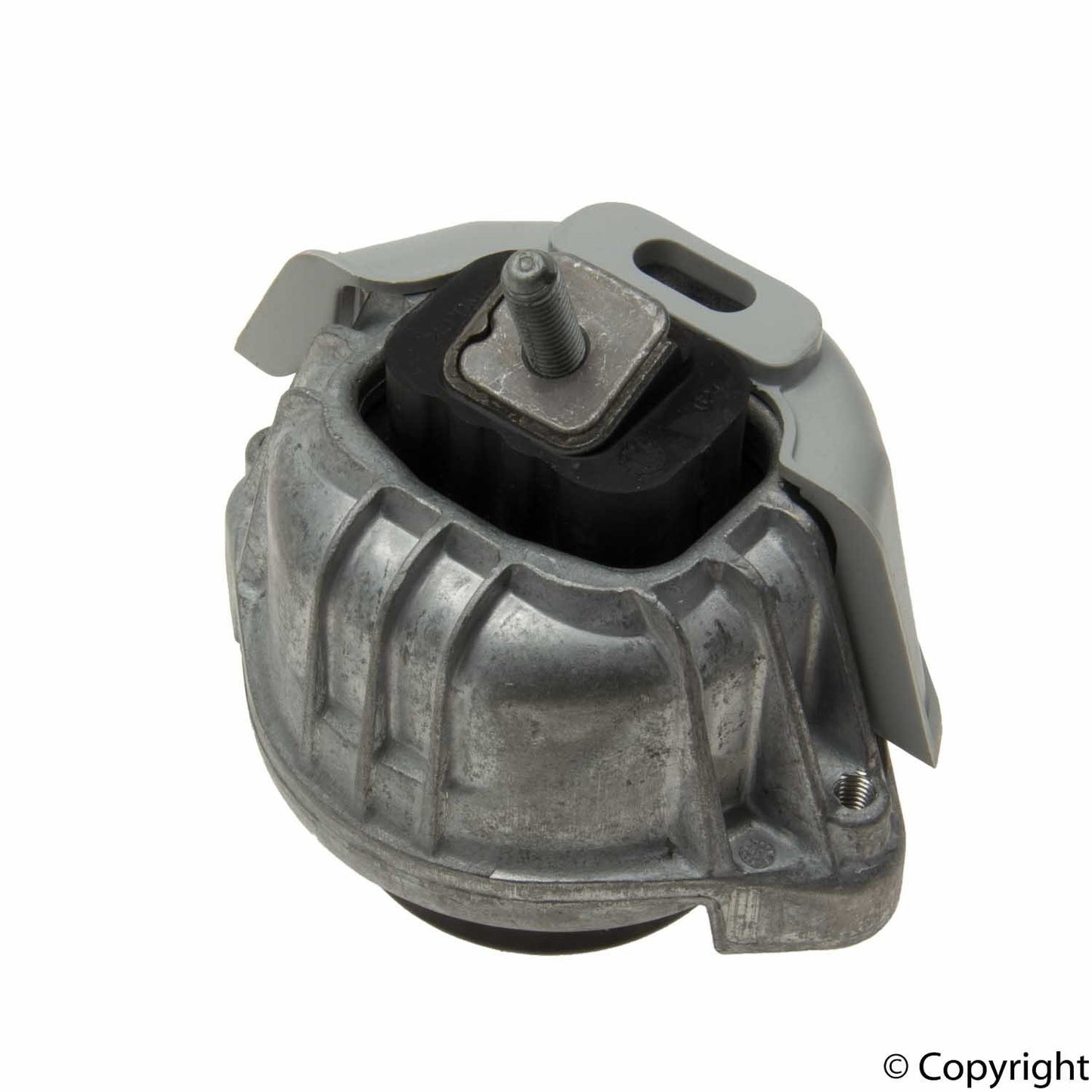 Rein Engine Mount