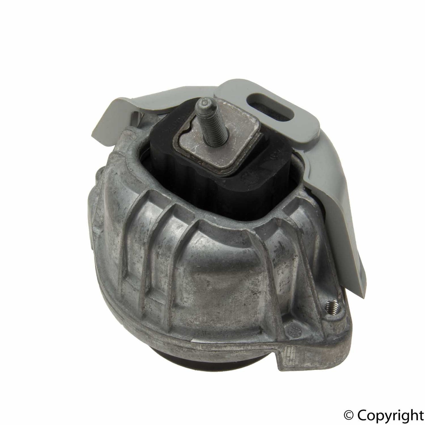 Rein Engine Mount