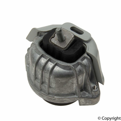 Rein Engine Mount