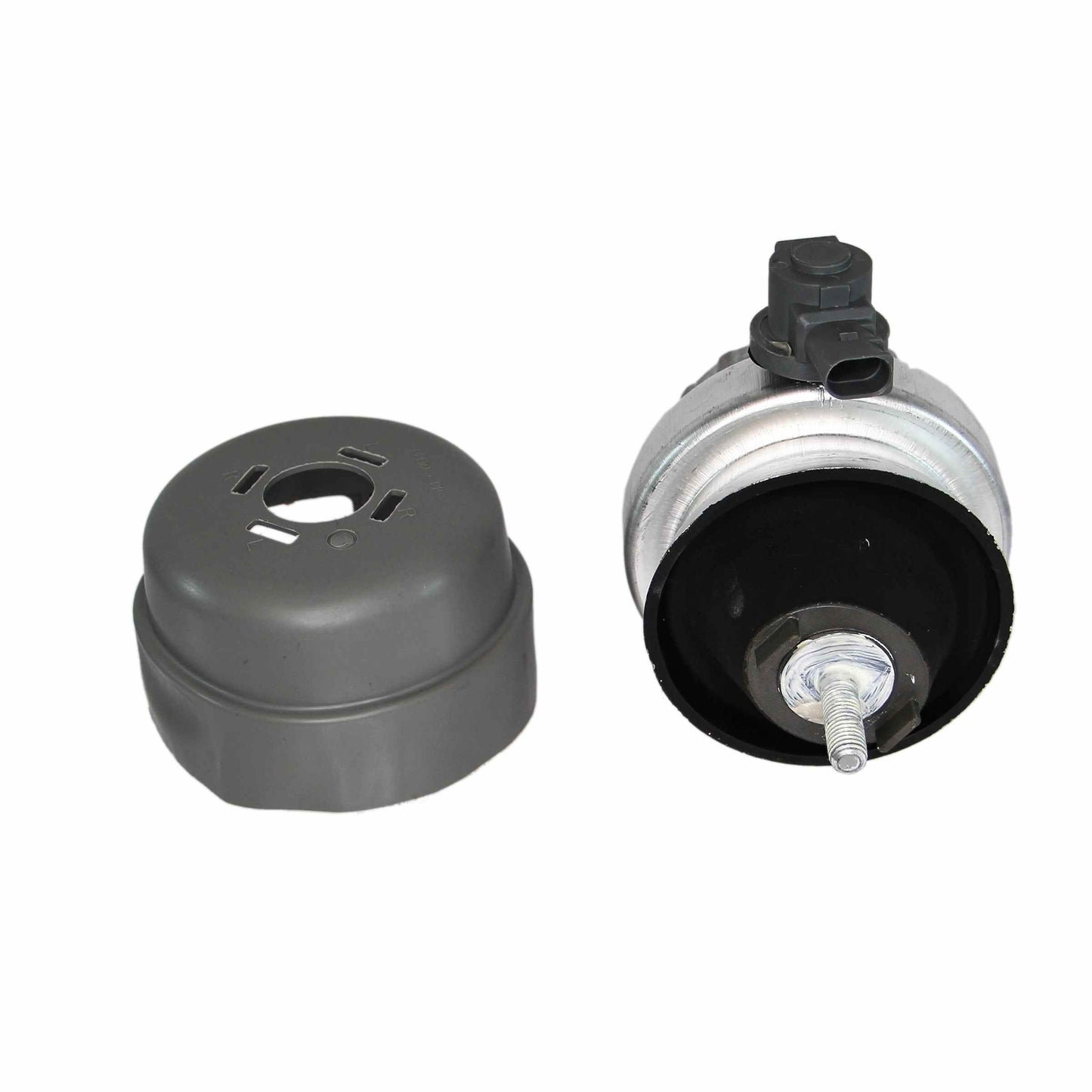 Rein Engine Mount AVE0497