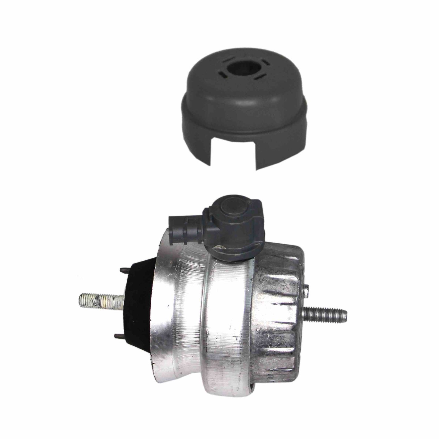 Rein Engine Mount AVE0497