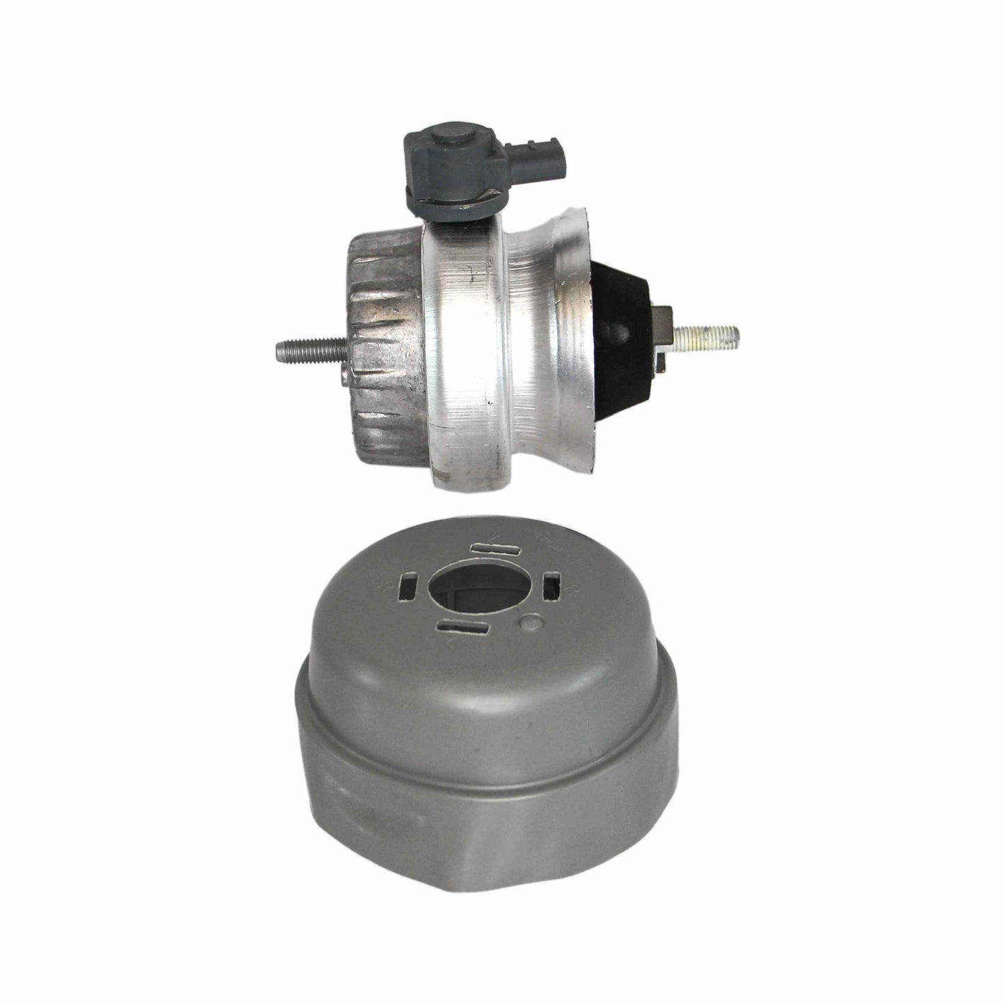 Rein Engine Mount AVE0497