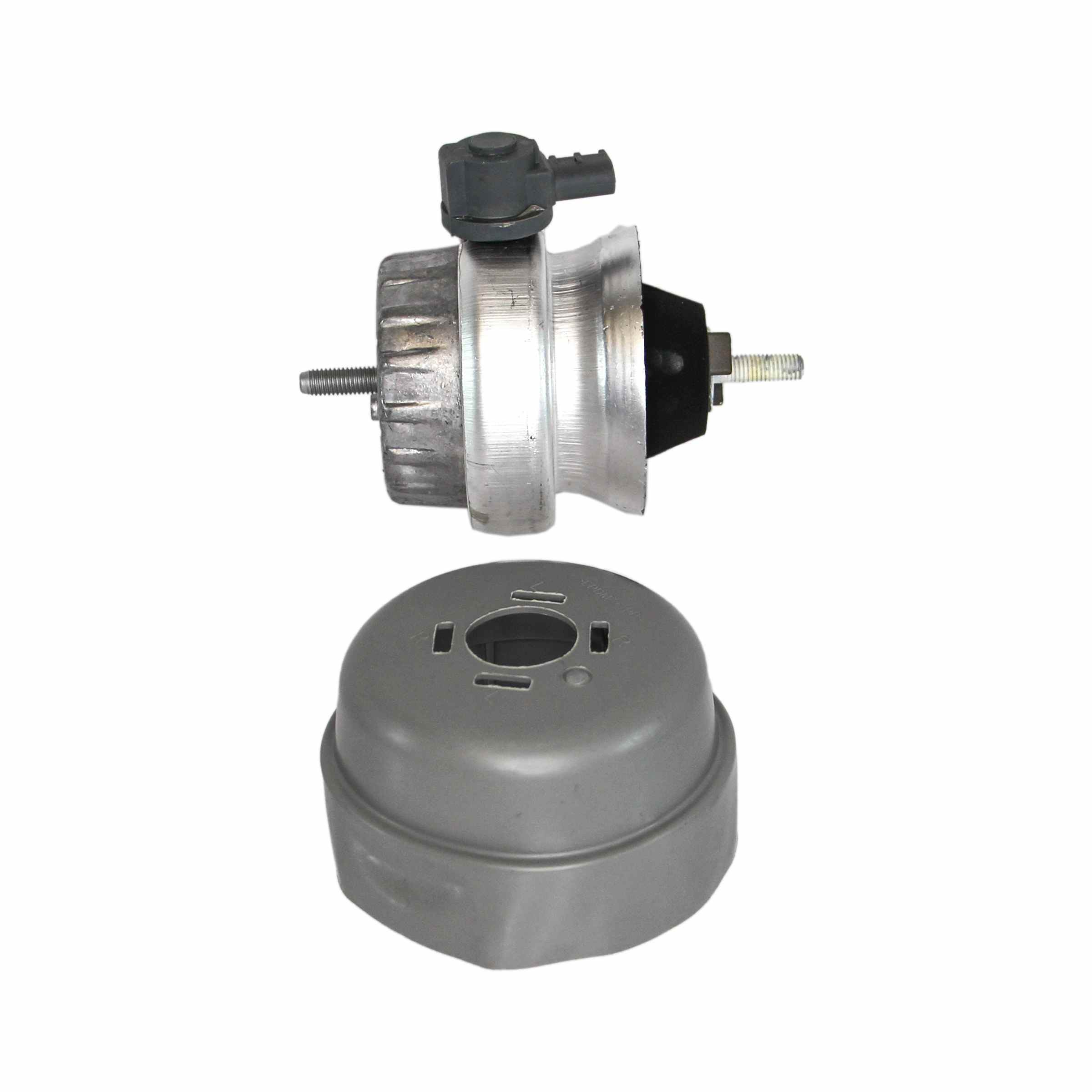 Rein Engine Mount AVE0497