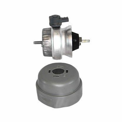 Rein Engine Mount AVE0497