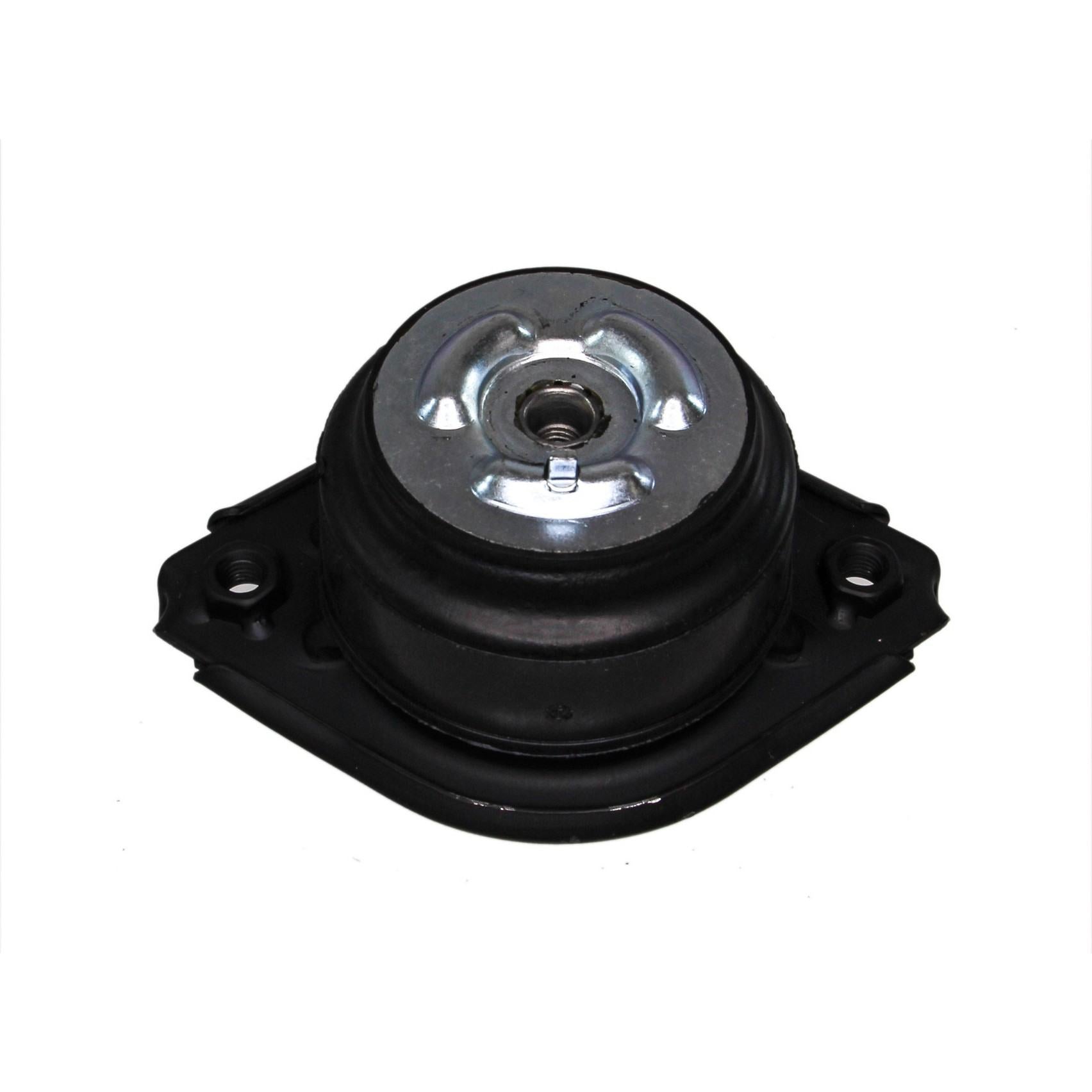 Rein Engine Mount AVE0528