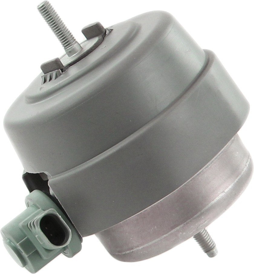 Rein Engine Mount AVE0731