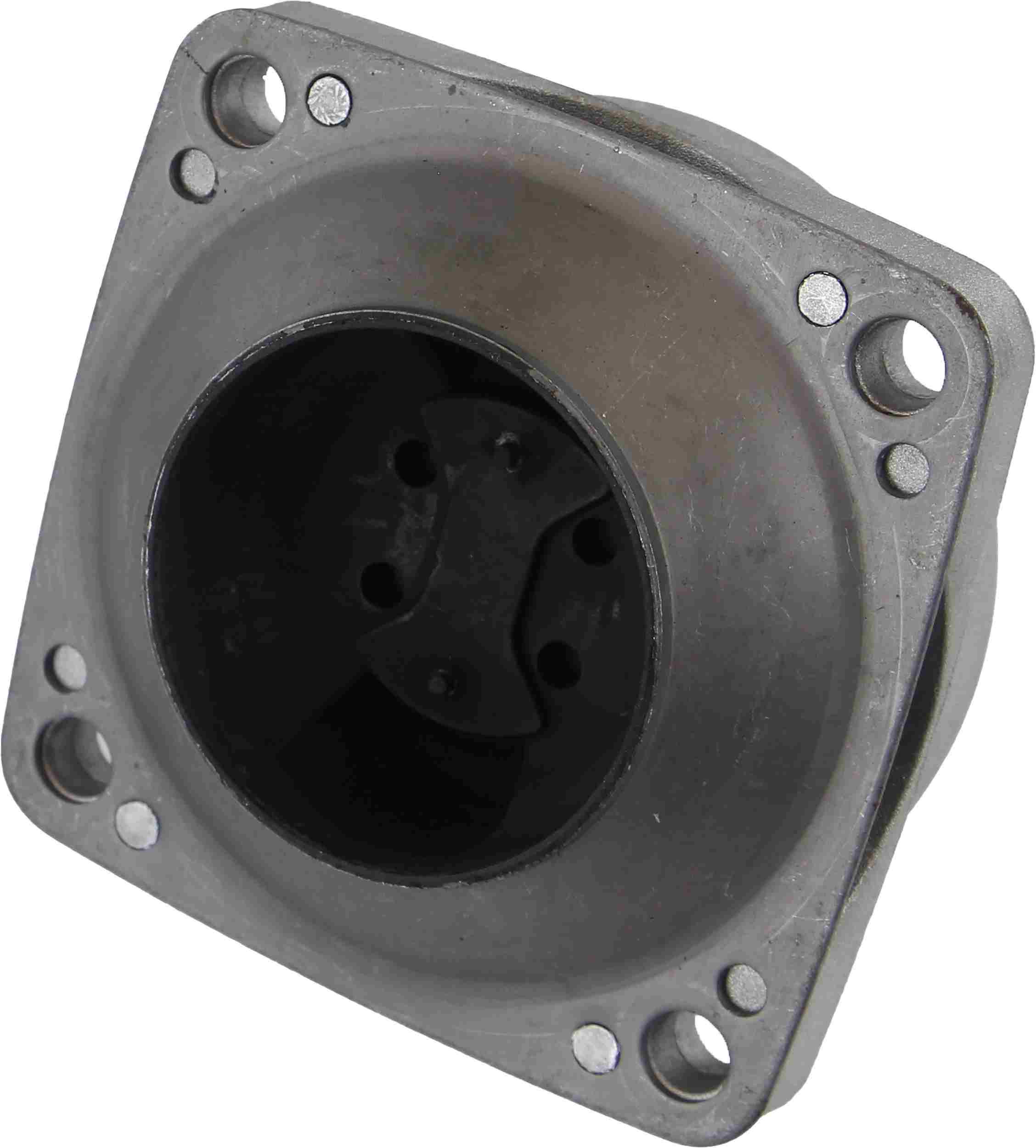 Rein Automatic Transmission Mount AVT0733