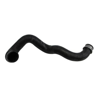 Rein Radiator Coolant Hose CHR0183P