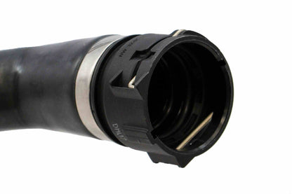Rein Radiator Coolant Hose CHR0606