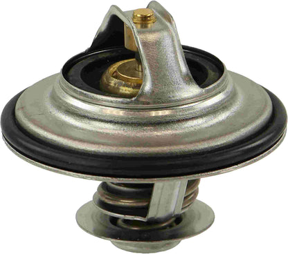 Rein Engine Coolant Thermostat CTI0001