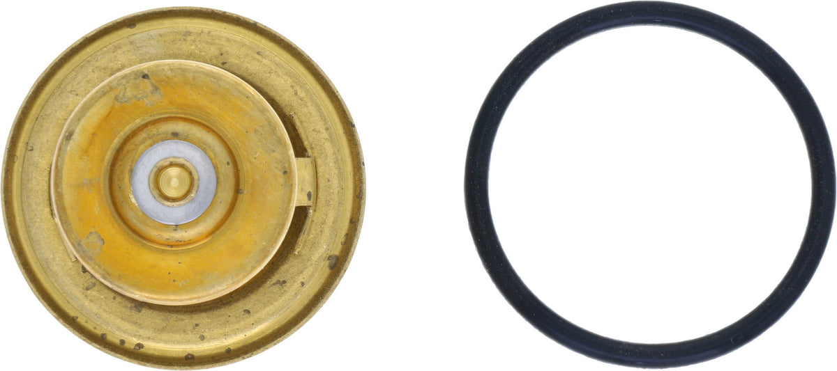 Rein Engine Coolant Thermostat CTI0004