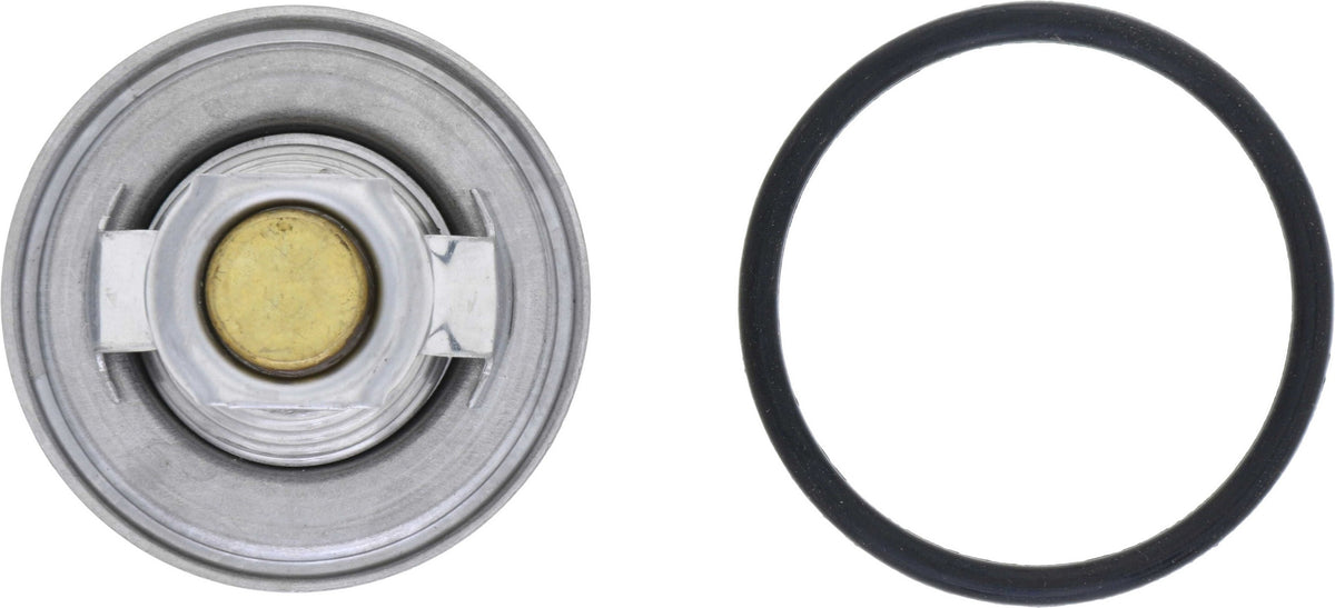 Rein Engine Coolant Thermostat CTI0006