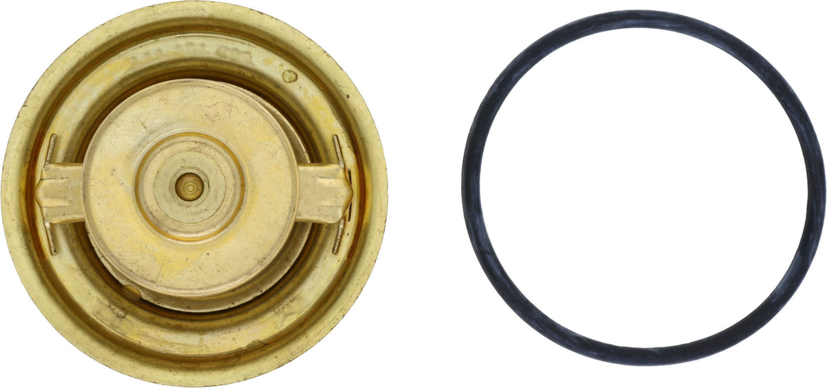 Rein Engine Coolant Thermostat CTI0007