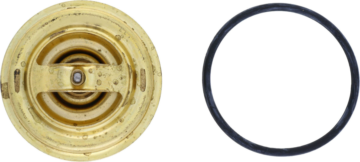 Rein Engine Coolant Thermostat CTI0007