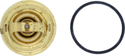 Rein Engine Coolant Thermostat CTI0007