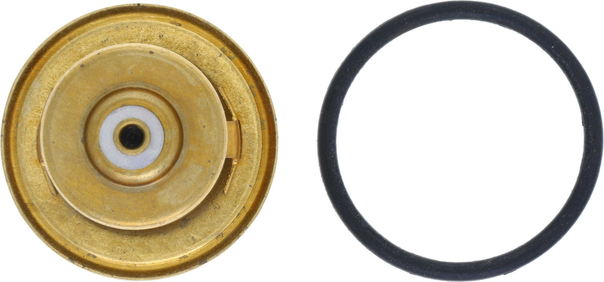 Rein Engine Coolant Thermostat CTI0009