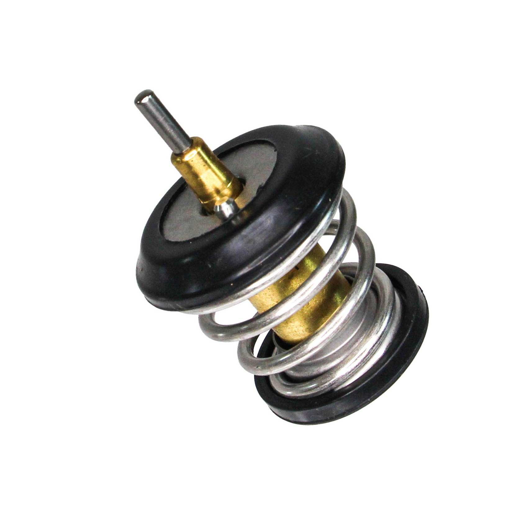 Rein Engine Coolant Thermostat CTI0010