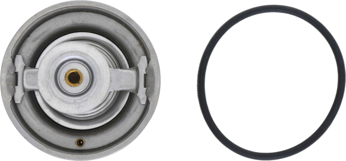 Rein Engine Coolant Thermostat CTI0019