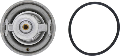 Rein Engine Coolant Thermostat CTI0019