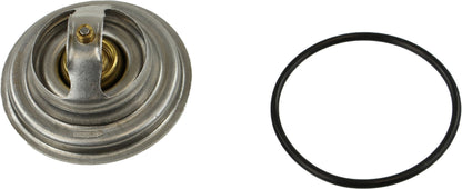 Rein Engine Coolant Thermostat CTN0045
