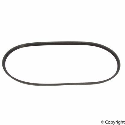 CRP Accessory Drive Belt