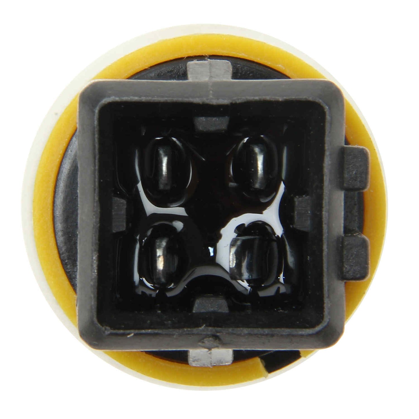 Rein Engine Coolant Temperature Sensor