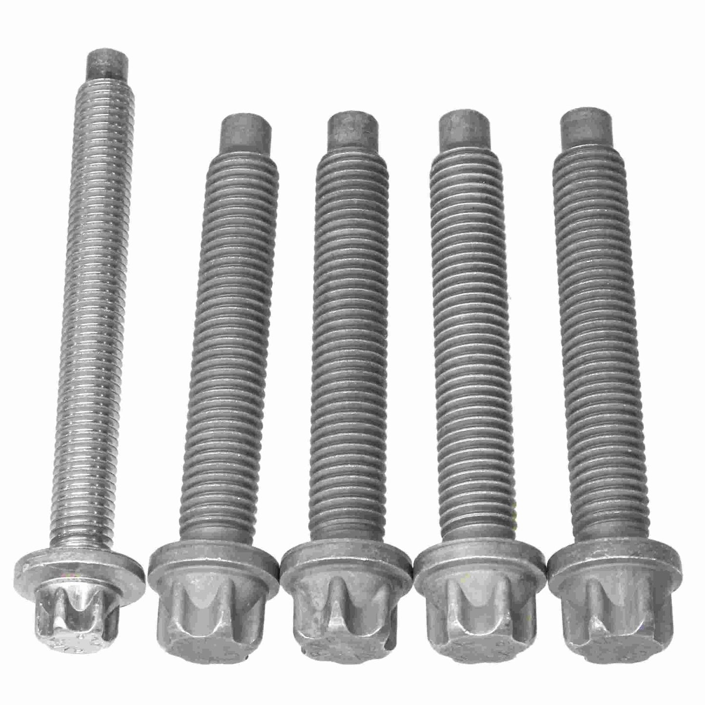 Rein Auto Trans Bellhousing Bolt Set