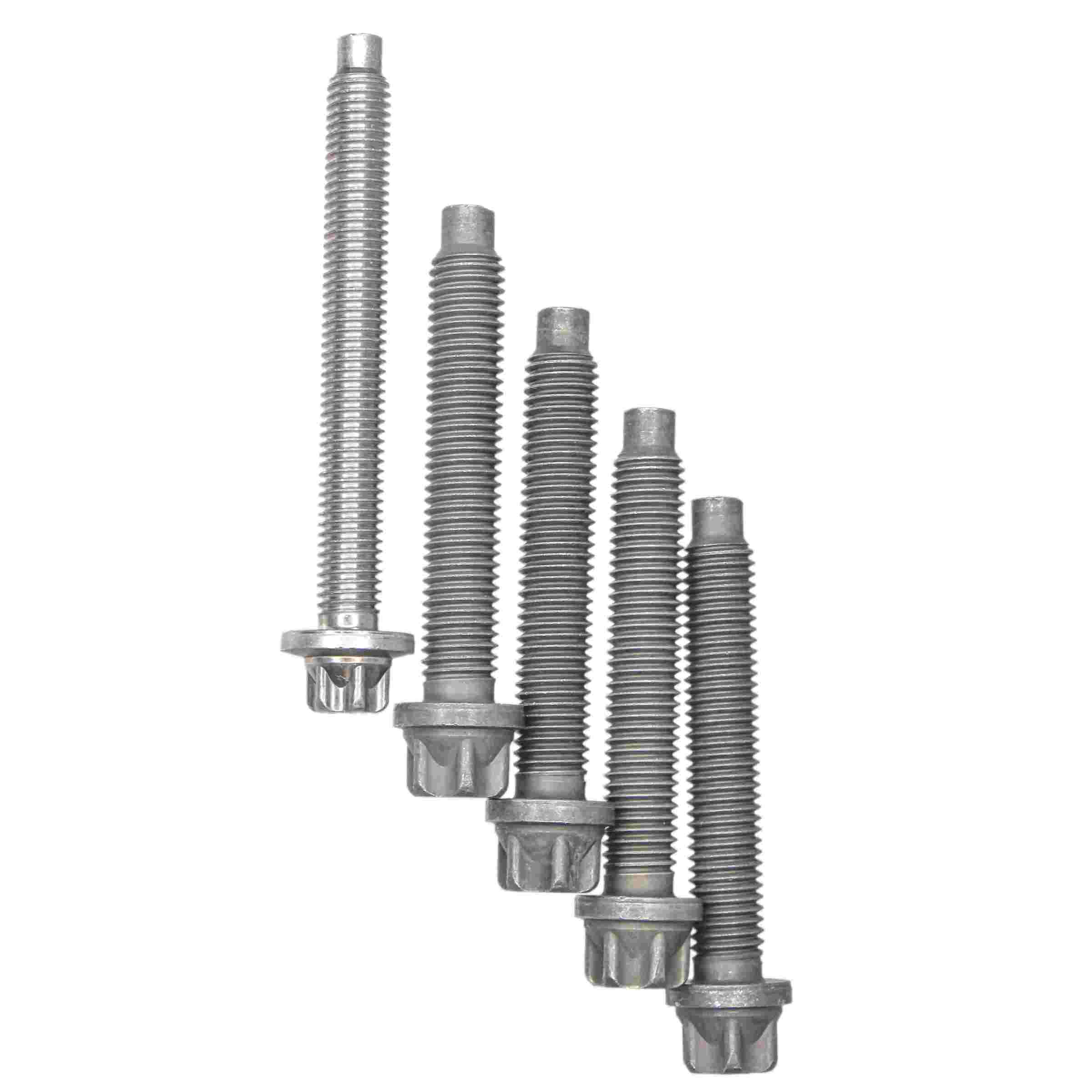 Rein Auto Trans Bellhousing Bolt Set
