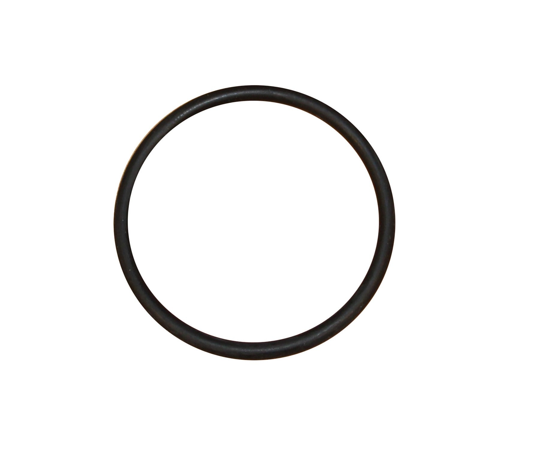 CRP Engine Water Pump O-Ring