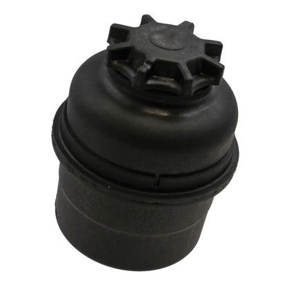 Rein Power Steering Reservoir