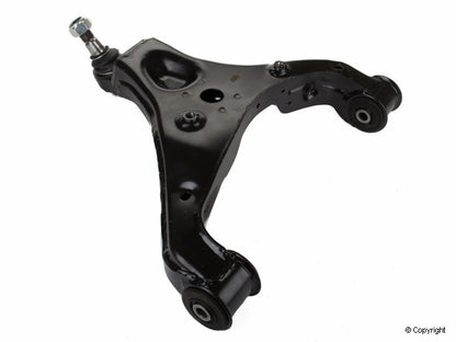 Rein Suspension Control Arm and Ball Joint Assembly