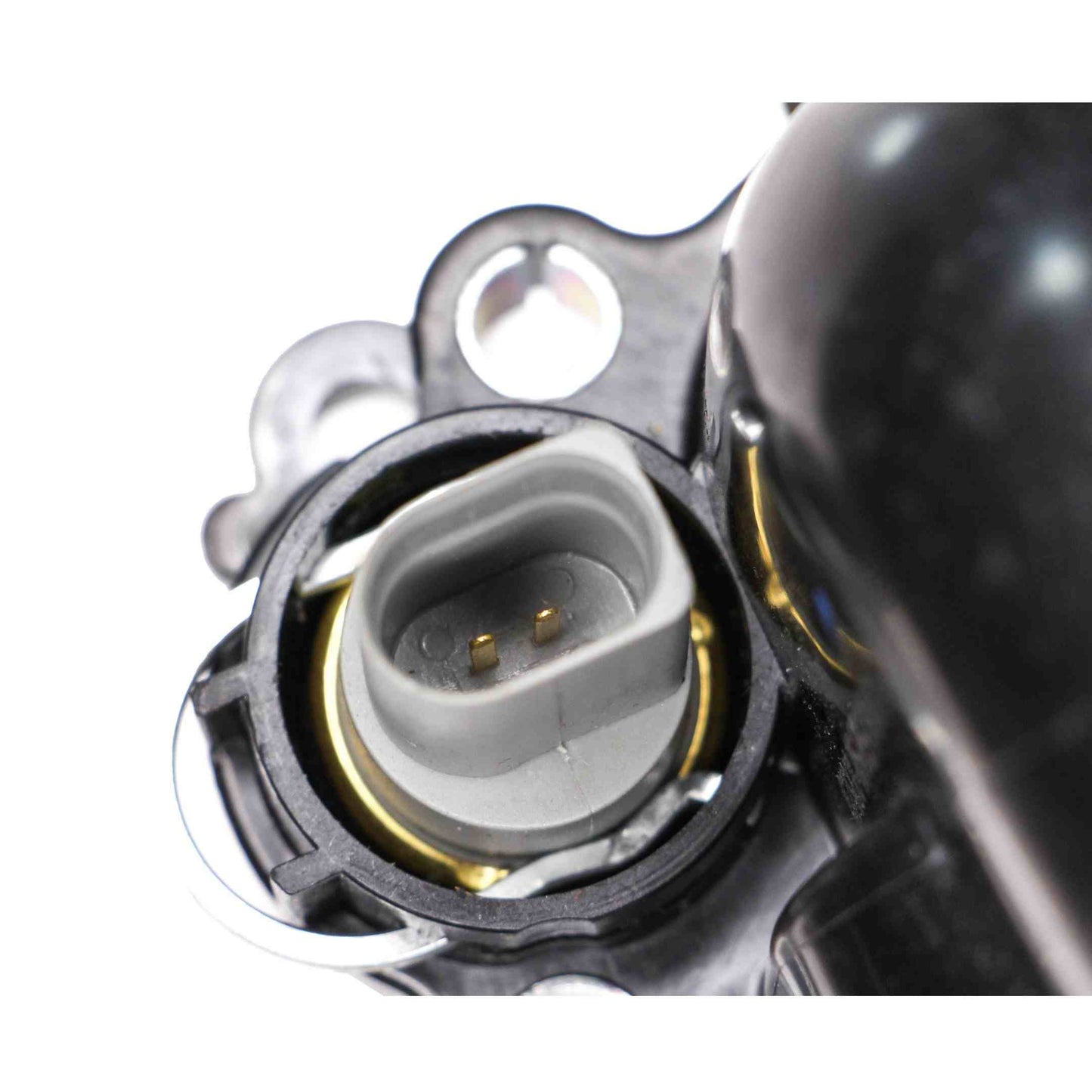 Rein Engine Water Pump