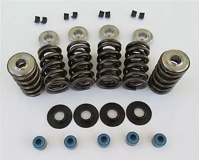 Cam Motion Inc LS Dual Valve Spring & Retainer Kit Camshafts and Valvetrain Valve Springs main image