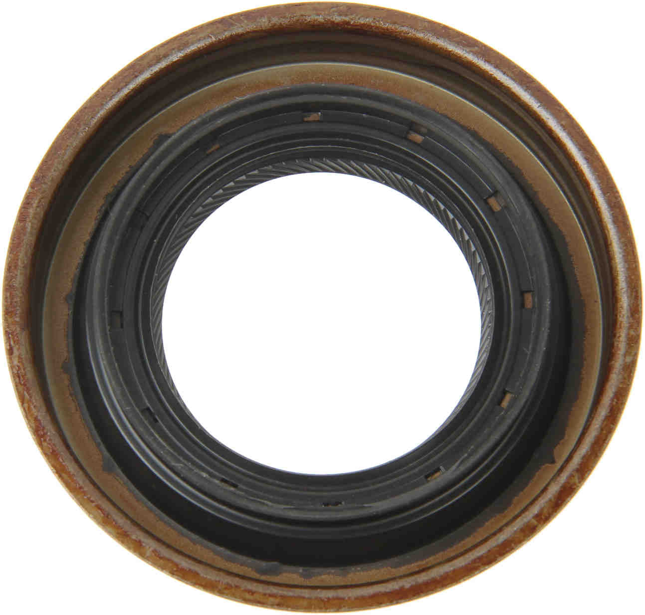 Corteco Differential Pinion Seal