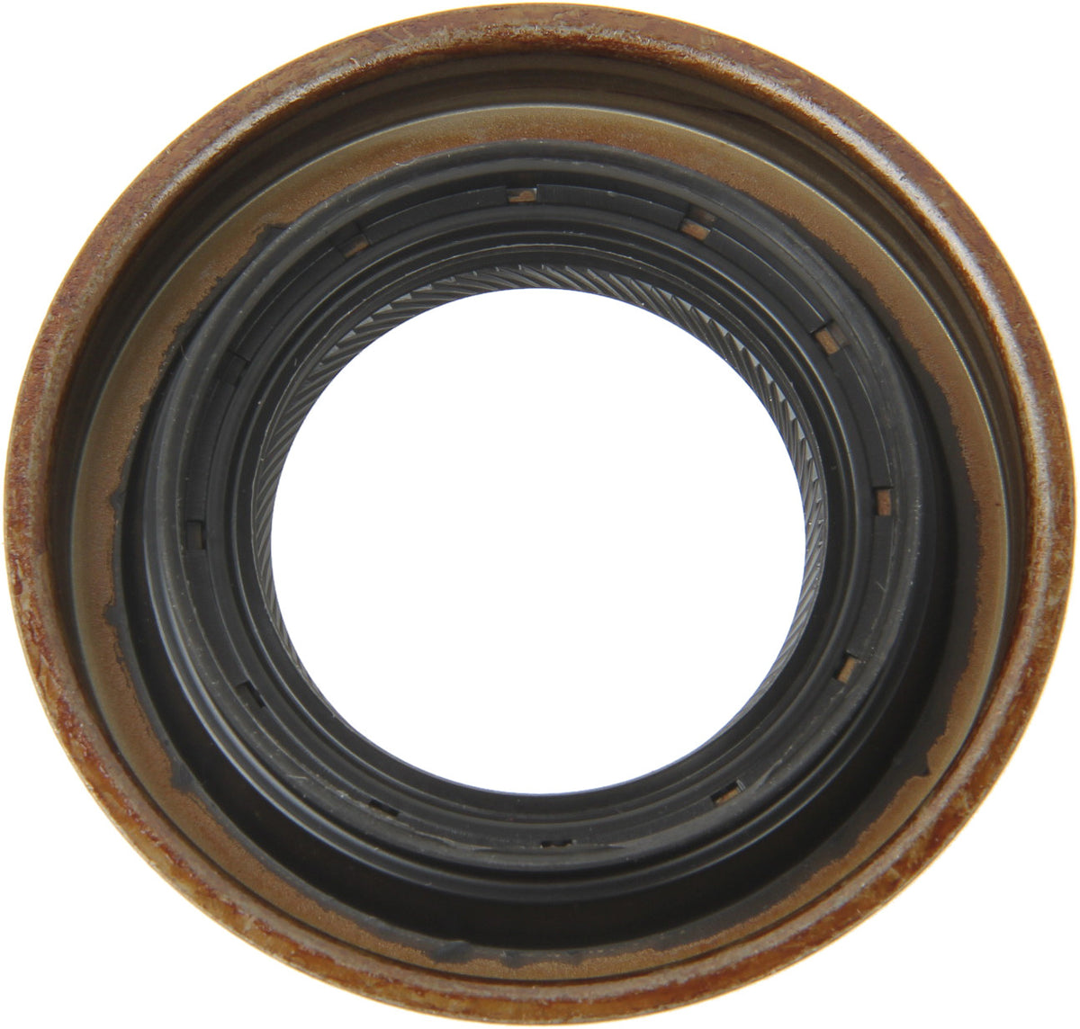 Corteco Differential Pinion Seal