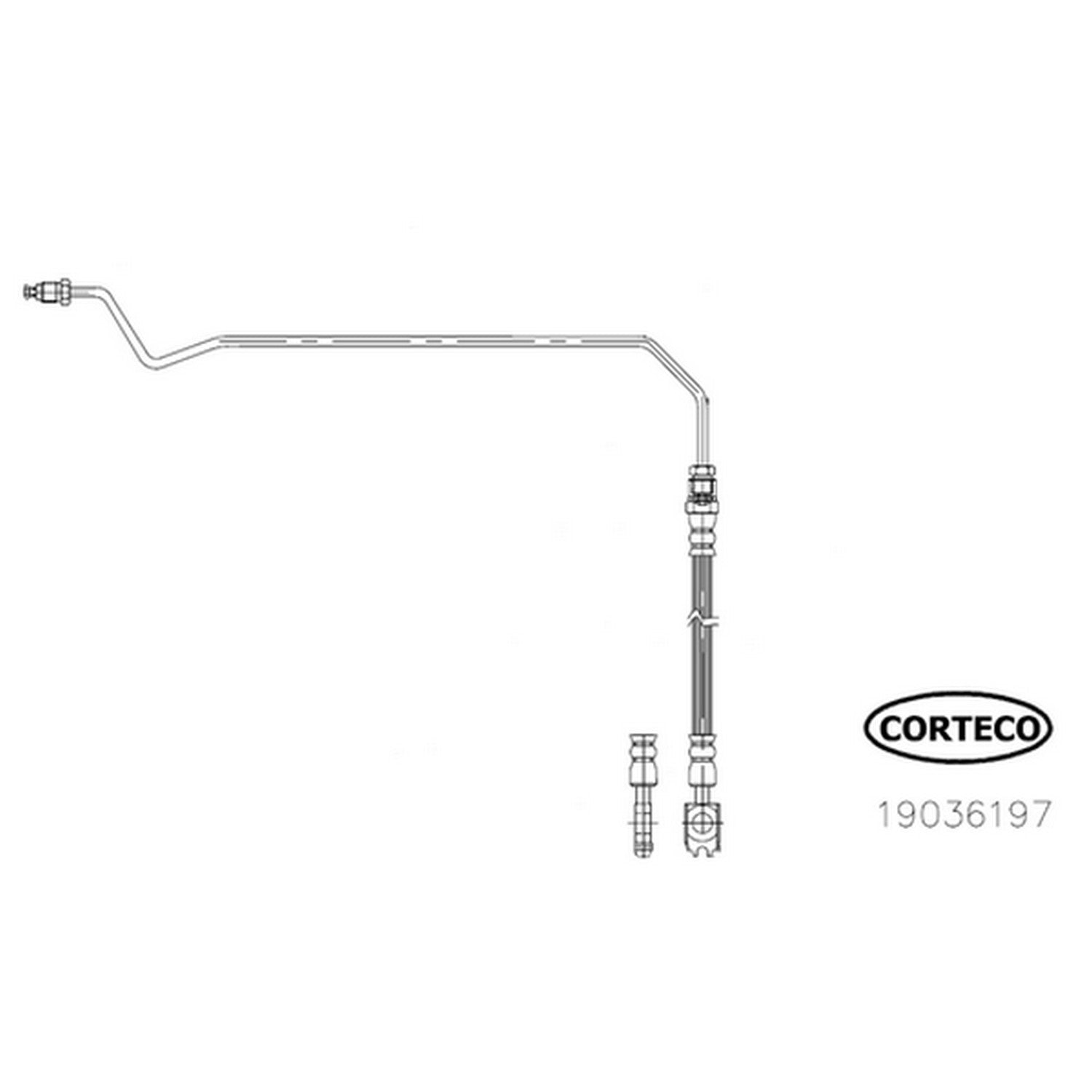 Corteco Brake Hydraulic Hose 19036197