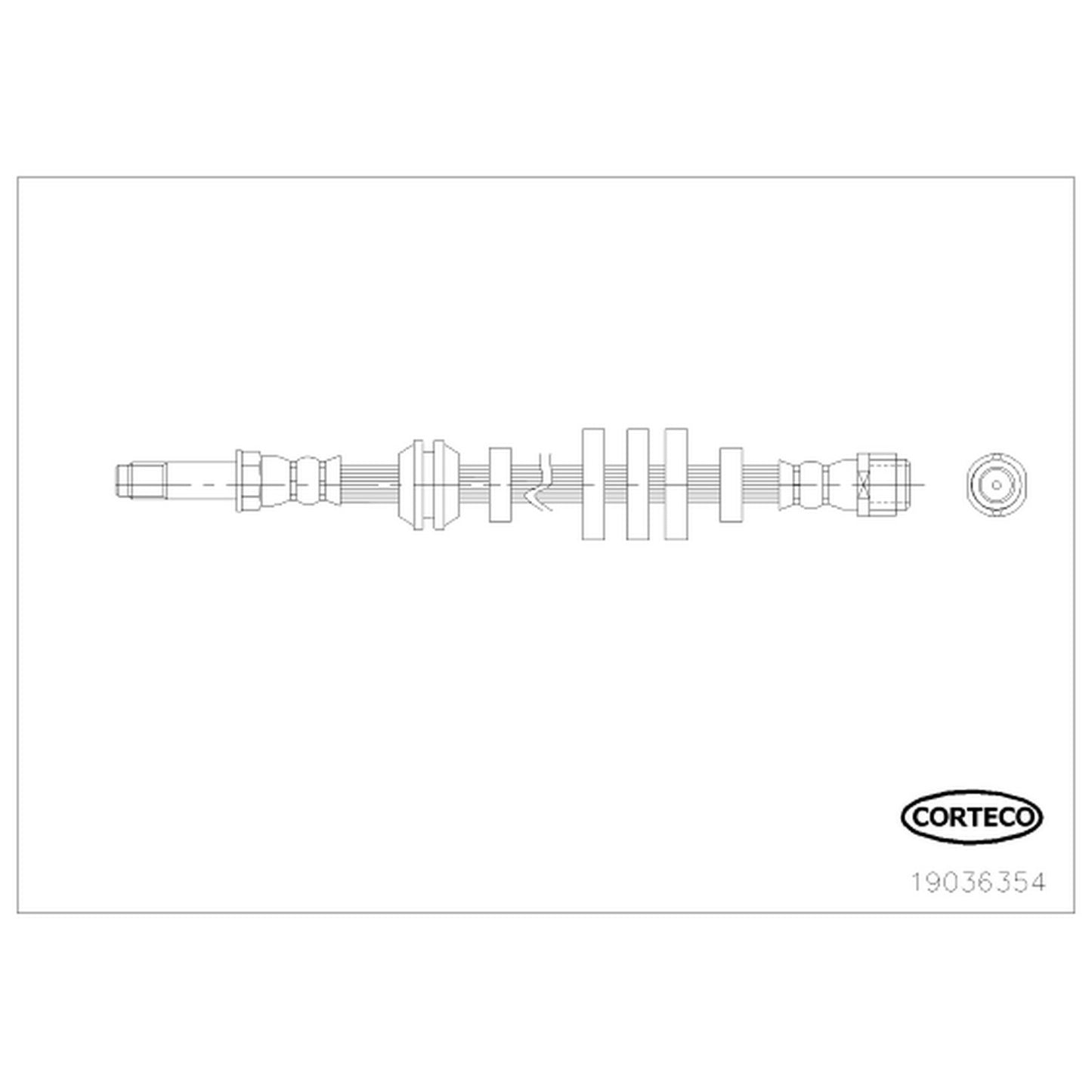 Corteco Brake Hydraulic Hose 19036354