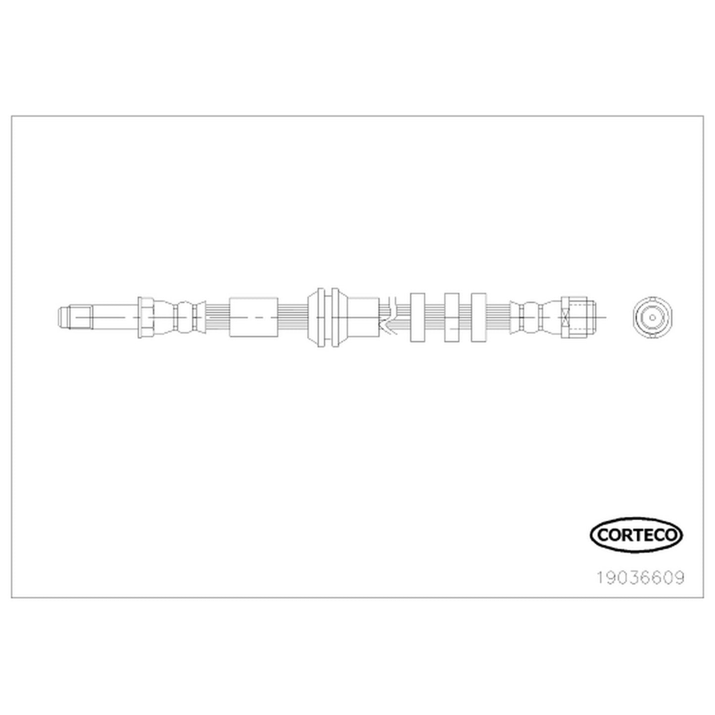 Corteco Brake Hydraulic Hose 19036609