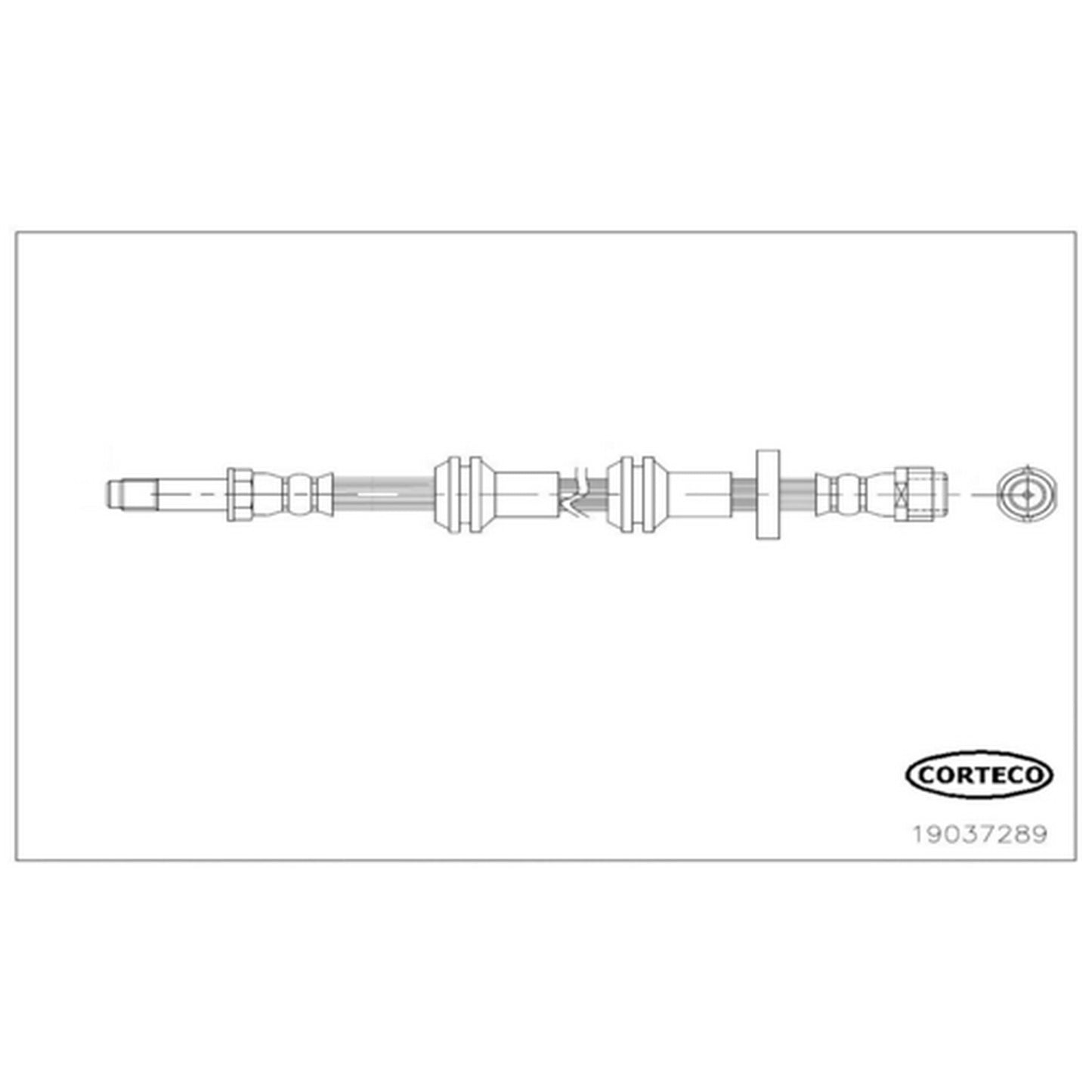 Corteco Brake Hydraulic Hose 19037289