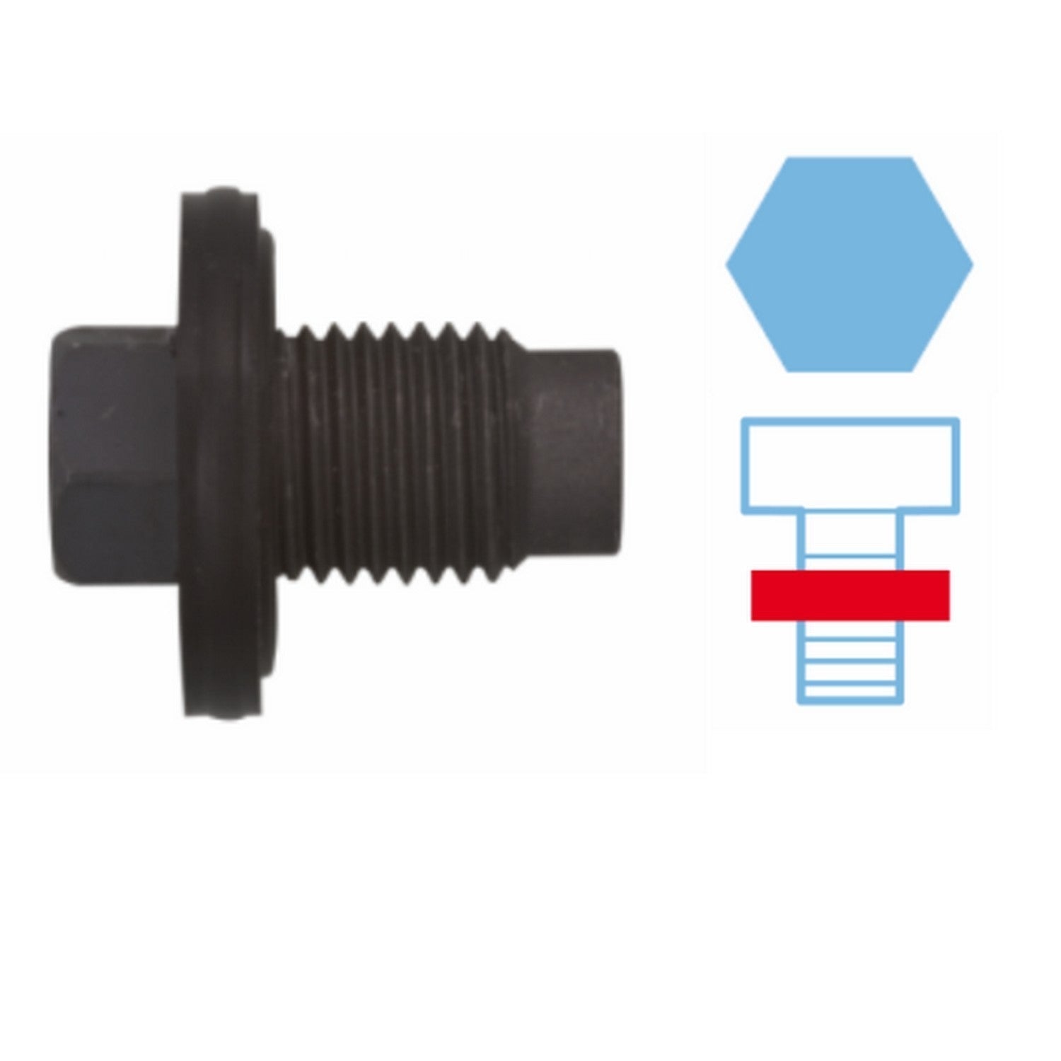 Corteco Engine Oil Drain Plug