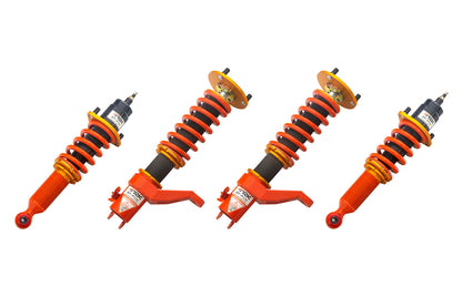ARK 2001-2005 Acura RSX DT-P Coilovers (Clearance Item)