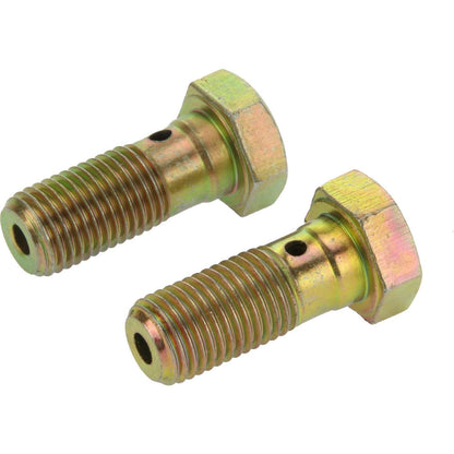 Centric Parts Disc Brake Hardware Kit, Includes Bag of 2 Banjo Bolts 117.99017
