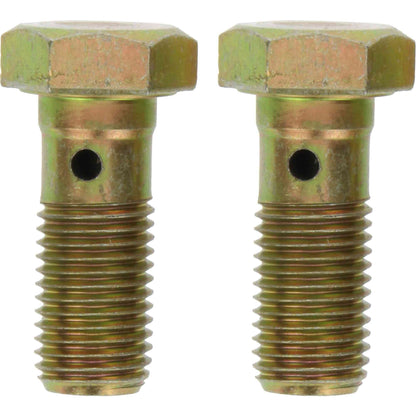 Centric Parts Disc Brake Hardware Kit, Includes Bag of 2 Banjo Bolts 117.99017