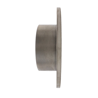 Centric Parts Disc Brake Rotor Standard with Non-Directional Finishes for 1992-2008 Audi Seat Volkswagen 121.33038